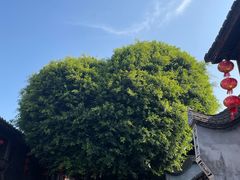 -安泰楼·佛跳墙创始人·传统闽味早茶·酒楼(三坊七巷闽菜地标店)