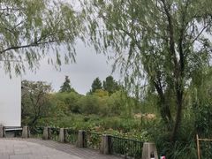 -白塔湖国家湿地公园