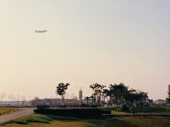 -空港花田景区