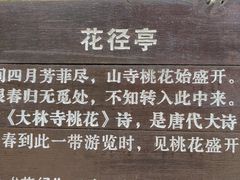 -庐山风景区花径公园