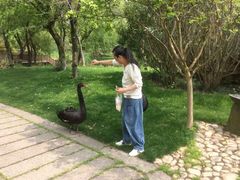 -长兴太湖图影湿地文化园