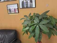 -雅悦齿科(顾村公园店)
