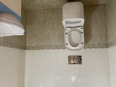 -金山农民画村-枫泾波兰倒置屋