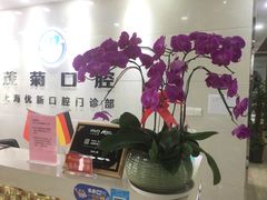 -茂菊口腔连锁(浦东南路店)