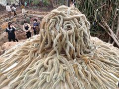 -南通洲际绿博园