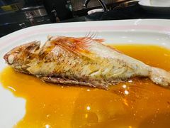 -新疆尊茂银都酒店