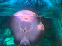 -沈阳海洋探索中心