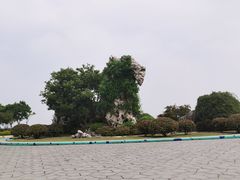 -贡湖湾湿地公园