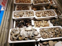 海鲜-鼎香缘海鲜自助火锅烤肉(锦辉购物广场店)