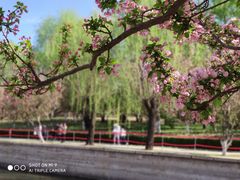 -海棠花溪(元大都城垣遗址公园)