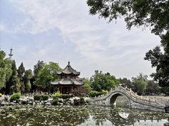 -莲池书院博物馆