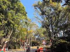 -珠海圆明新园