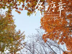 -大兴滨河森林公园