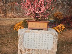 -无锡梅园公园
