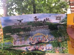 -西双版纳原始森林公园