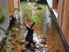 -邈墨茶馆(凤起路店)