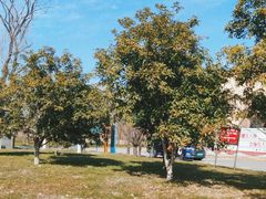 -广富林郊野公园-P6停车场