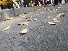 -辽宁大学(崇山校区)