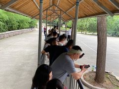 -泰安地下龙宫景区