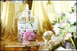 美雯苏宁卢浮宫-苏宁环球套房饭店·宴会厅