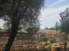 -武汉动物园