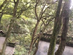 -富春桃源风景区