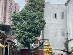 -华林禅寺