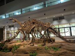 -自贡恐龙博物馆
