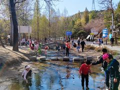 -白水寺森林公园