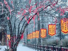 -瓦屋山景区