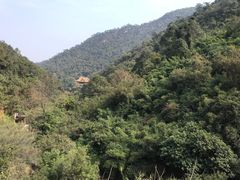 -南海湾森林生态园