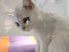 -龟与熊猫宠物公园(南坪店)