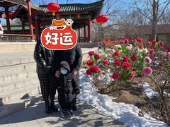 -太原动物园