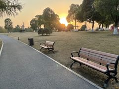 -九科绿洲