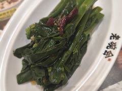 -老碗会·陕西手工面(前海世茂店)