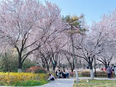 -大秦面庄(青松路店)