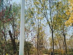 -绿堤公园