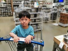 -宜家·瑞典风味餐厅(北京西红门店)