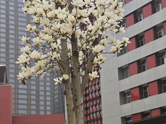 -西安创业咖啡街区