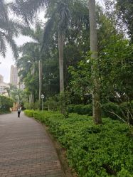 -深圳市儿童乐园