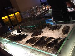 -Ministry of Crab(科伦坡店)