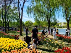 -石家庄市植物园