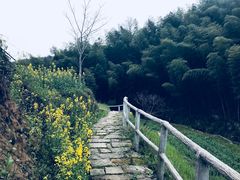 -灵山景区梯田