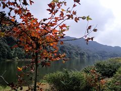 -广州市石门国家森林公园
