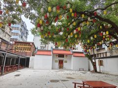 -金砂公园
