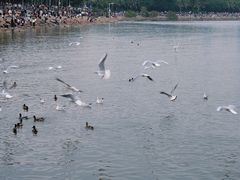 -深圳湾公园(南山区)