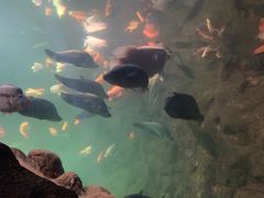 -鼓歌海鲜舫·手抓海鲜(大学城店)