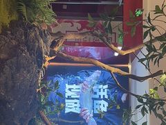 -老板恋上鱼(恒隆广场店)