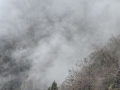 -塔云山