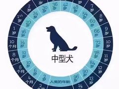 -瑞派申生动物医院·24H夜诊·国际动物医疗中心·骨外科(吴中路店)